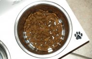 Eukanuba hundefoder imødekommer særlige behov